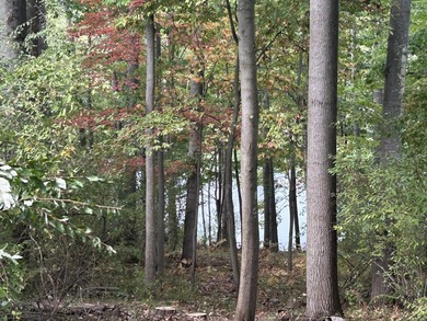Waterfront Lot on Lake of the Clouds in Canadian Lakes!! - photo 4