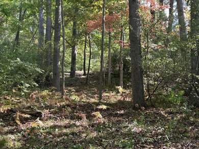 Waterfront Lot on Lake of the Clouds in Canadian Lakes!! - photo 5