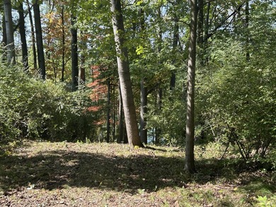 Waterfront Lot on Lake of the Clouds in Canadian Lakes!! - photo 6