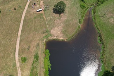 This 44.19 acres offers pretty, open pasture land with gently - photo 12