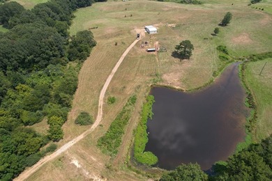 This 44.19 acres offers pretty, open pasture land with gently - photo 13
