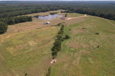 This 44.19 acres offers pretty, open pasture land with gently - photo 16