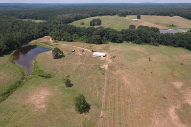 This 44.19 acres offers pretty, open pasture land with gently - photo 17