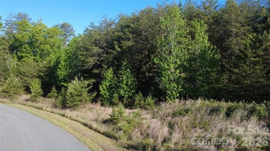 Tucked inside the gated waterfront community of The Peninsula at - photo 18
