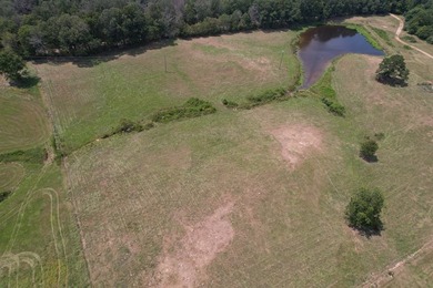 This 44.19 acres offers pretty, open pasture land with gently - photo 18
