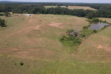 This 44.19 acres offers pretty, open pasture land with gently - photo 19
