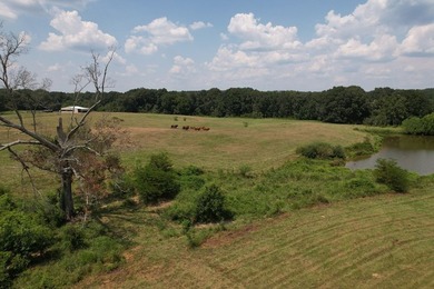 This 44.19 acres offers pretty, open pasture land with gently - photo 20