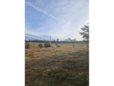 (private lake, pond, creek) Acreage For Sale in Umpire Arkansas