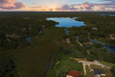 Davis Lake Lot For Sale in Inverness Florida