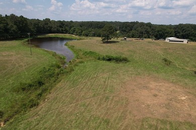 This 44.19 acres offers pretty, open pasture land with gently - photo 21