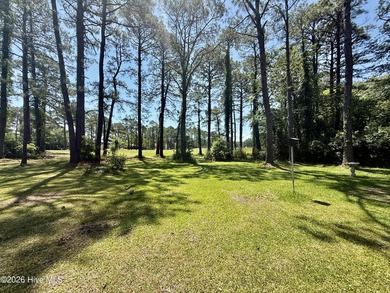 This beautiful three bedroom, two bath, single level home is - photo 22