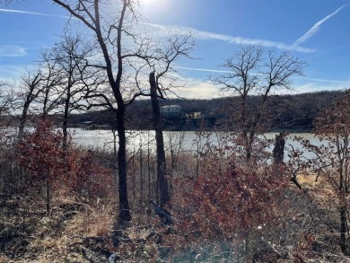 Lake Lot For Sale in Chico, Texas