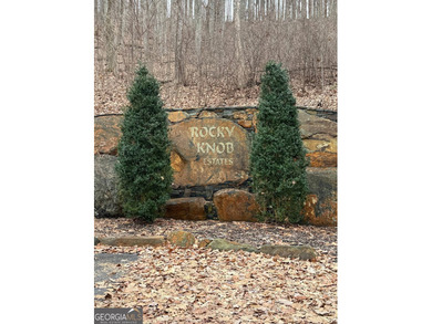 Follow your dreams to this exceptional mountain-view homesite in