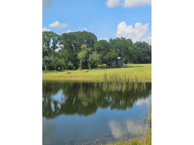 Charming 19-Acre Retreat with Pond, Wildlife & Workshop Escape - photo 1