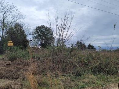 DISCOVER 4.92 ACRES of opportunity just north of Texanna Road - - photo 2