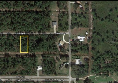 Lake Weohyakapka Lot For Sale in Indian Lake Estates Florida
