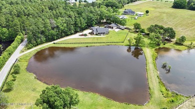 A rare opportunity to own a true Mississippi Gulf Coast retreat - photo 2