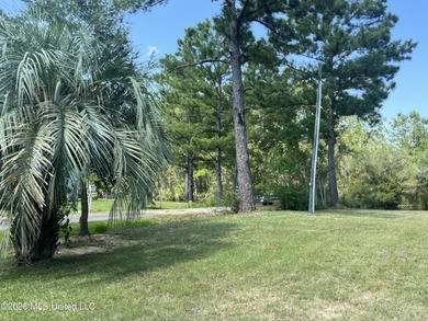 Bring your jet skis, kayaks, boats! Remodeled 2 bedroom/2 full - photo 16