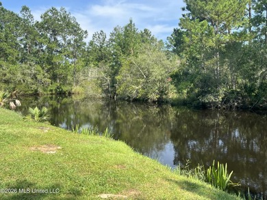 Bring your jet skis, kayaks, boats! Remodeled 2 bedroom/2 full - photo 17