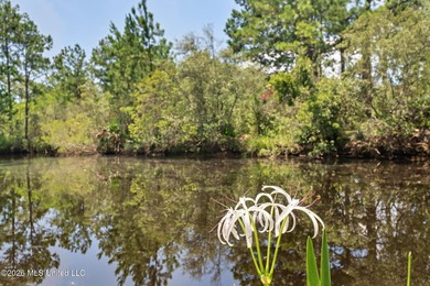 Bring your jet skis, kayaks, boats! Remodeled 2 bedroom/2 full - photo 27