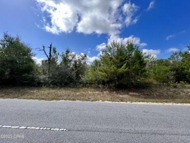 Gap Lake  Lot For Sale in Chipley Florida