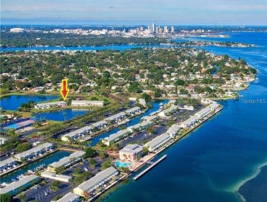 Lake Condo For Sale in St. Petersburg, Florida