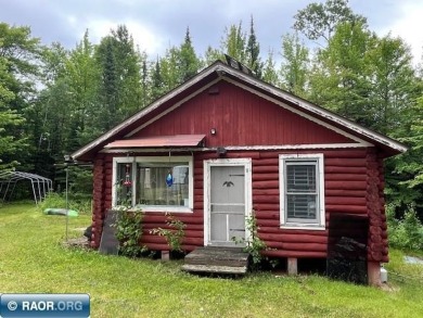 Lake Home For Sale in Zim, Minnesota