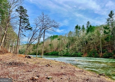 Lake Acreage For Sale in Ellijay, Georgia