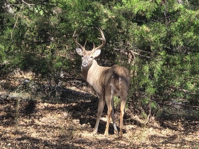 Lake Weatherford Acreage For Sale in Weatherford Texas