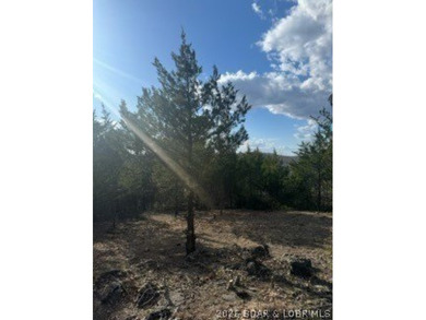 Private acreage with deeded lake access ready for your vacation - photo 11