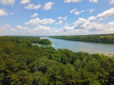 Enjoy seasonal views of Lake Greeson from this 3-bedroom, 2-bath - photo 39