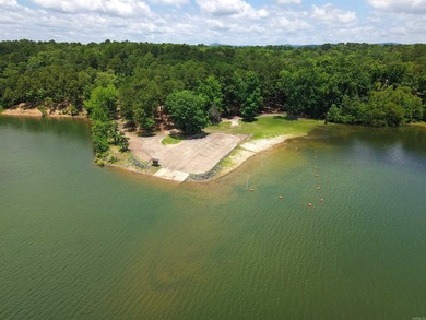 Enjoy seasonal views of Lake Greeson from this 3-bedroom, 2-bath - photo 40