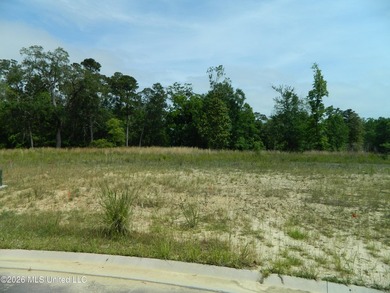 The Sanctuary, Diamondhead's newest area for your custom home - photo 5