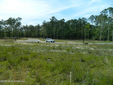 The Sanctuary, Diamondhead's newest area for your custom home - photo 6