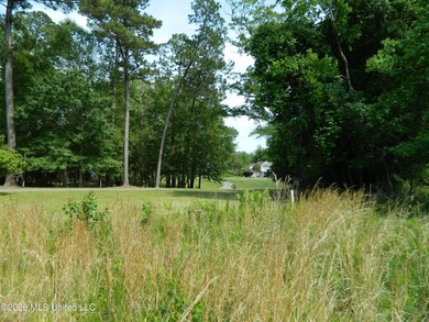 The Sanctuary, Diamondhead's newest area for your custom home - photo 8