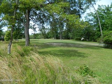 The Sanctuary, Diamondhead's newest area for your custom home - photo 9