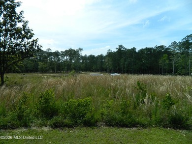 The Sanctuary, Diamondhead's newest area for your custom home - photo 10