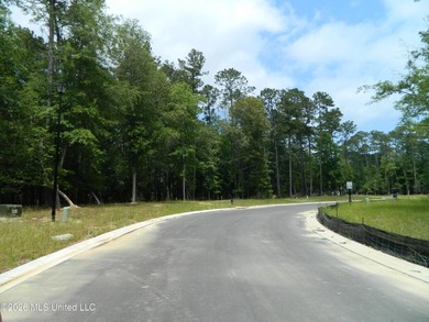 The Sanctuary, Diamondhead's newest area for your custom home - photo 5