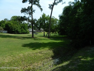 The Sanctuary, Diamondhead's newest area for your custom home - photo 7