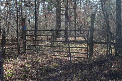 If you are looking for the one...this is it. 103+/- acre tract