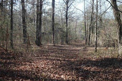 If you are looking for the one...this is it. 103+/- acre tract