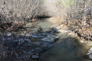 If you are looking for the one...this is it. 103+/- acre tract