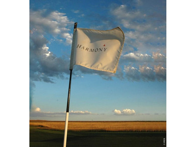 Welcome to The Harmony Villas - where luxury living meets - photo 40