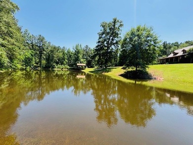 Situated on 13.3 acres of lush, rolling land in the Lexie - photo 4