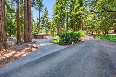 Mountain living without the steep mountain roads! Located on - photo 9