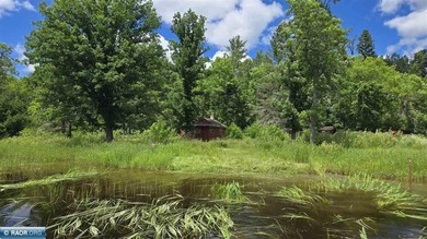 This 40-acre boat access property with 1440 ft of gradual - photo 2