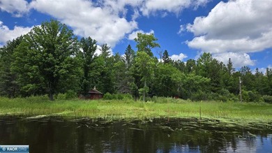 This 40-acre boat access property with 1440 ft of gradual - photo 3