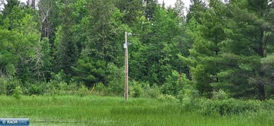 This 40-acre boat access property with 1440 ft of gradual - photo 7