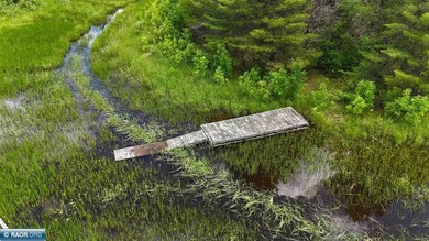 This 40-acre boat access property with 1440 ft of gradual - photo 8