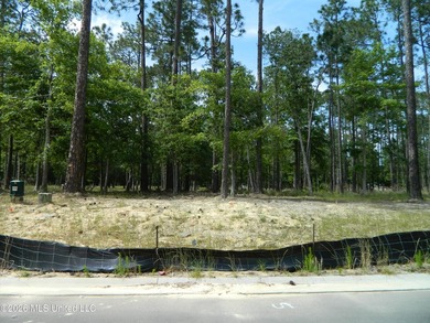 The Sanctuary, Diamondhead's newest area for you custom home - photo 5